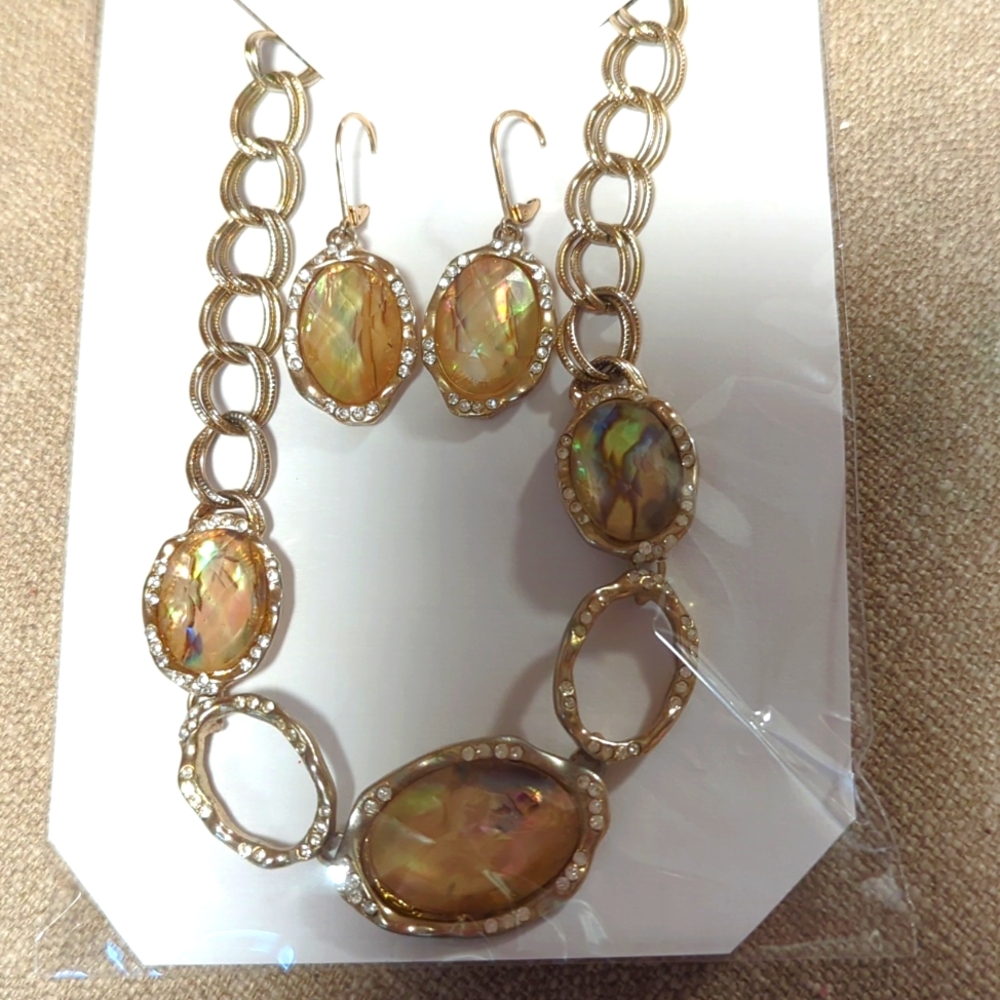 Jones New York Necklace and Earring set